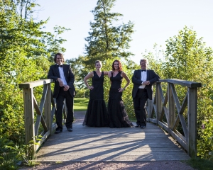 Wulfson Quartet - Stråkvartett för alla tillfällen